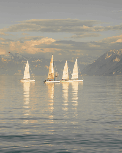 Les avantages stratégiques du directeur financier à la demande pour votre PME Quatre optimistes sur le lac Léman symbolisant la flexibilité et l’accompagnement stratégique d’un directeur financier à la demande pour PME.